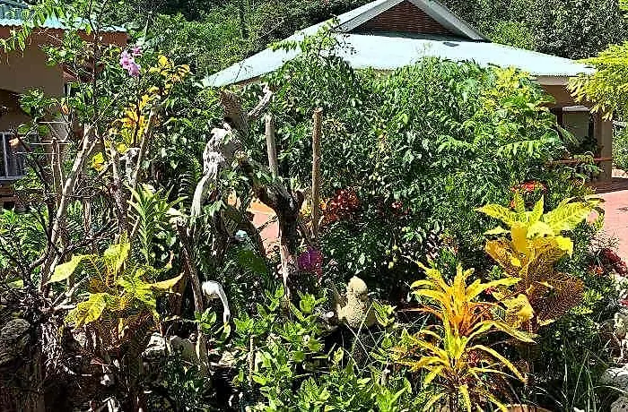 La Digue Island Отель 4*